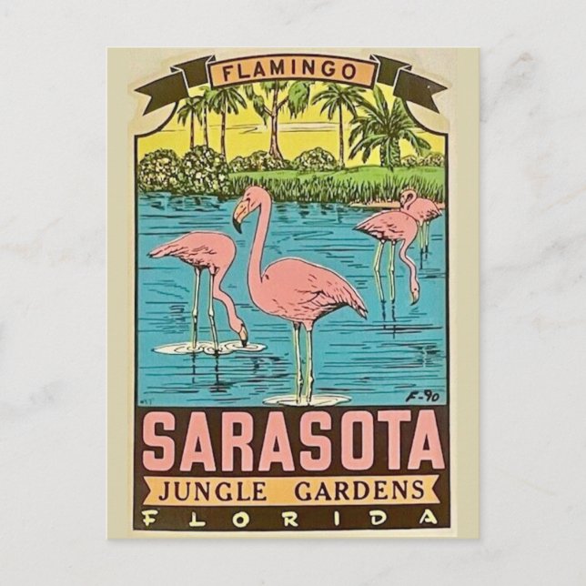 Postale Carte de Flamant rose vintage Sarasota (Devant)