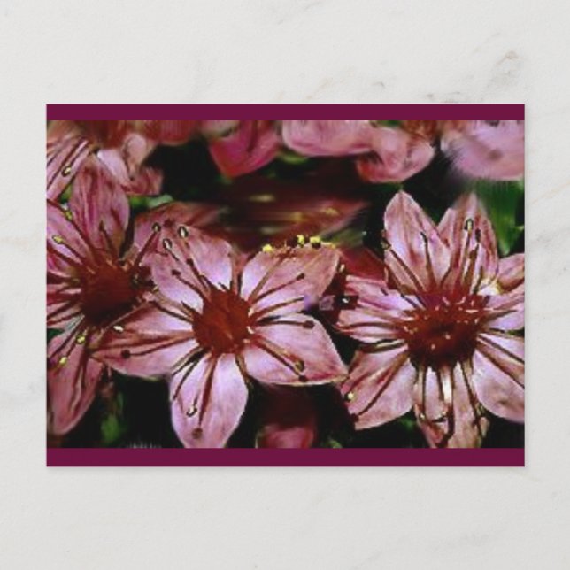 Postale Carte de fleurs rouges peintes (Devant)