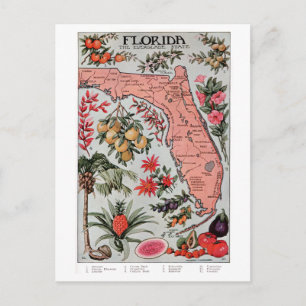 Postale Carte de Floride vintage