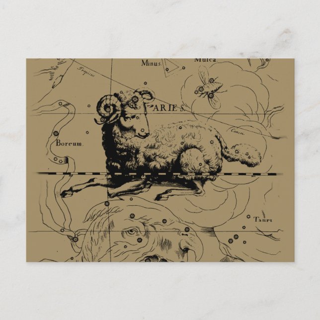 Postale Carte de la constellation du Bélier Hevelius 1690 (Devant)