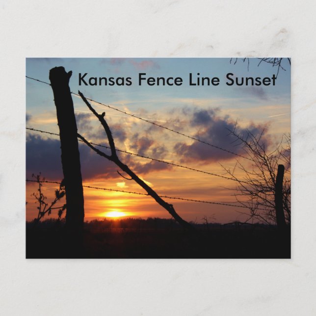 Postale Carte de la ligne de clôture Kansas (Devant)