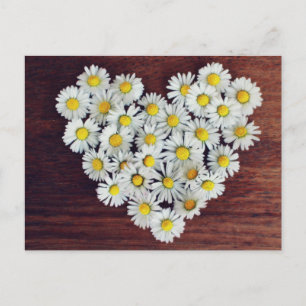 Postale Carte de la marguerite cœur de marguerites d'amour