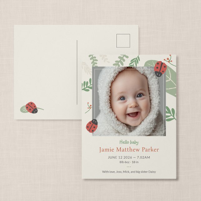 Postale Carte de naissance bébé coccinelle mignonne (Ladybird Meadow - Postcard Style Photo Baby Announcement)
