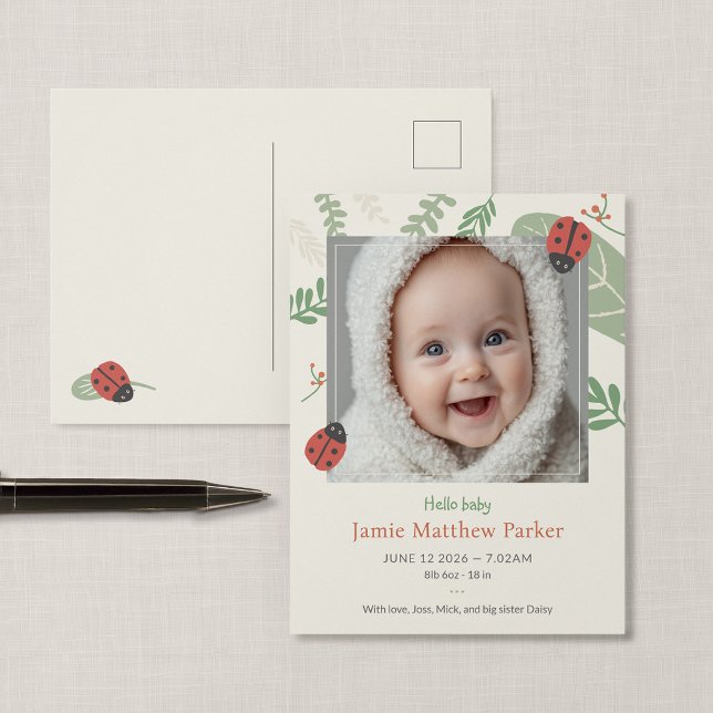 Postale Carte de naissance bébé coccinelle mignonne (Ladybird Meadow - Ladybug New Baby Photo Postcard Announcement)