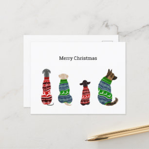 Postale Carte de Noël avec Chiens portant un pull
