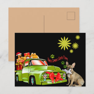 Postale Carte de Noël Bulldog français Noël