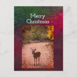 Postale Carte de Noël Cerf