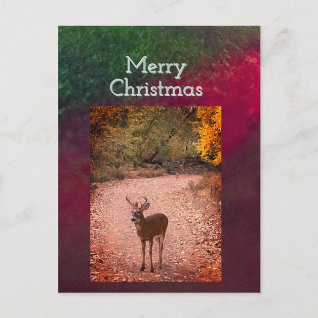 Postale Carte de Noël Cerf (Devant)