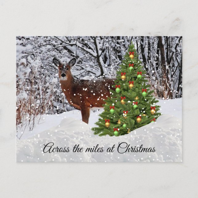 Postale Carte de Noël de cerf sous la neige à travers les  (Devant)
