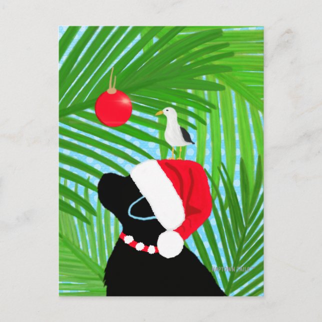 Postale Carte de Noël du Labrador noir tropical avec le Pè (Devant)