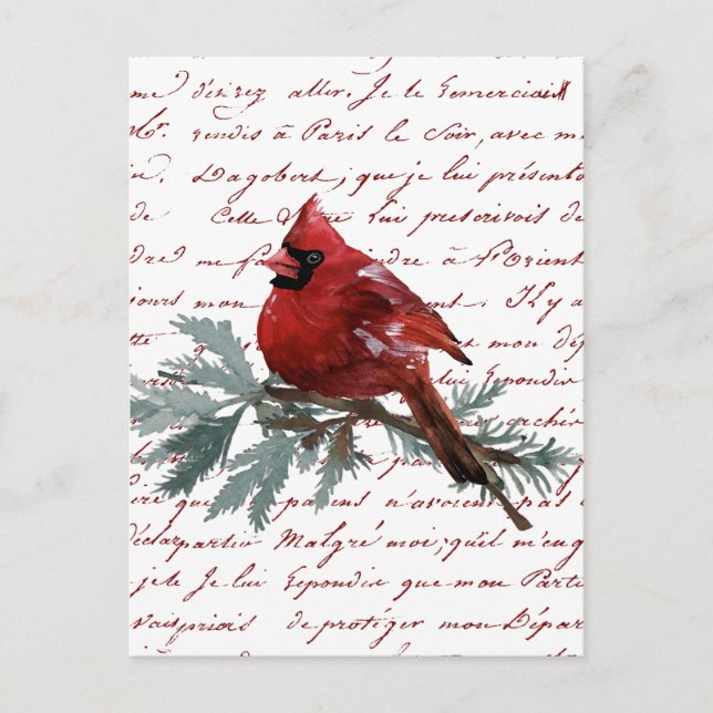 Postale Carte de Noël Oiseau Cardinal Rouge Écriture Franç (Devant)