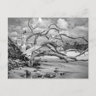 Postale Carte de note "Plage d'Île"