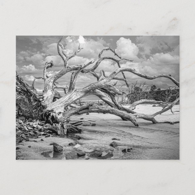 Postale Carte de note "Plage d'Île" (Devant)