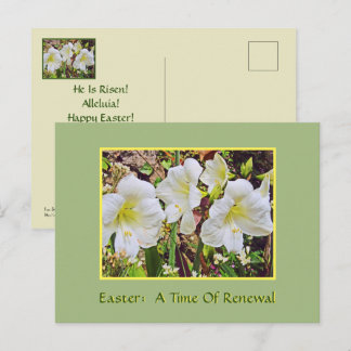 POSTALE CARTE DE PÂQUES/ HEMEROCALLES BLANCHES
