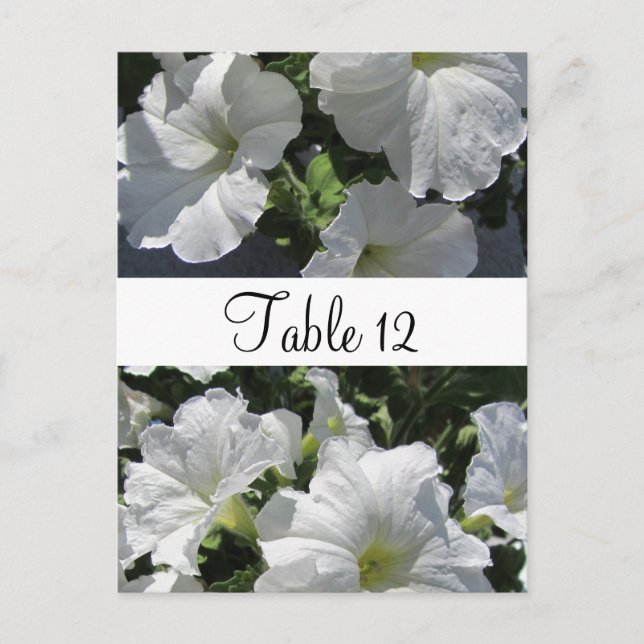 Postale Carte de placement de table aux pétunias blancs (Devant)