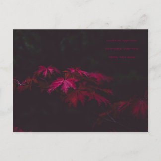 Postale carte de poésie