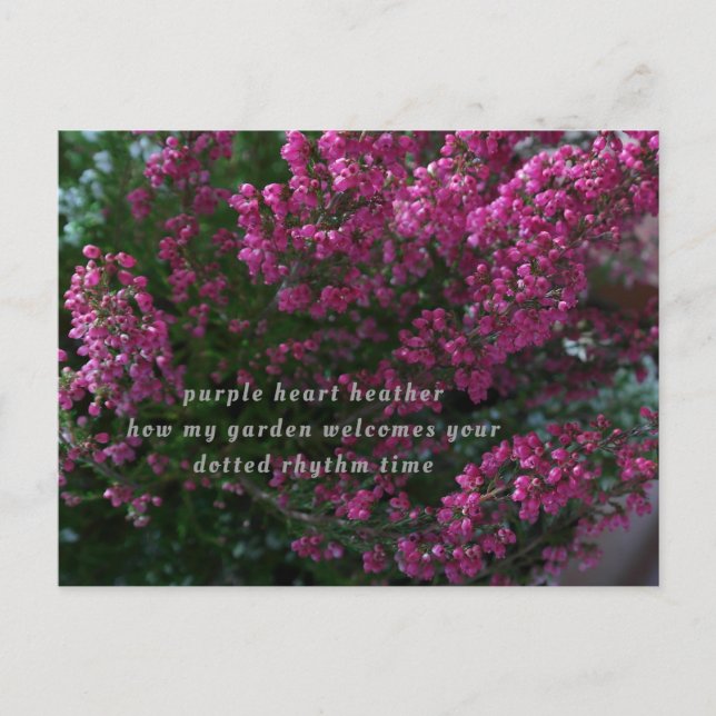 Postale carte de poésie (Devant)