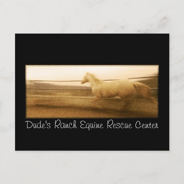 Postale Carte de poste à cheval (Devant)