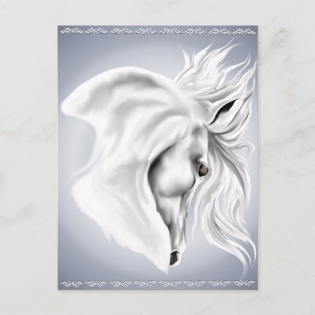 Postale Carte de poste de cheval blanc (Devant)