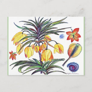 Postale Carte de poste de dessin de fleurs botaniques Abst
