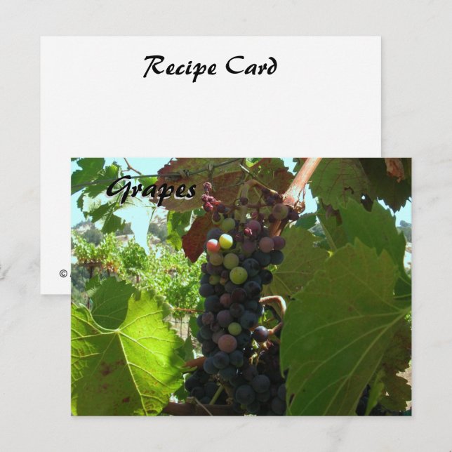 Postale Carte de recette - Raisins sur vigne (Devant / Derrière)