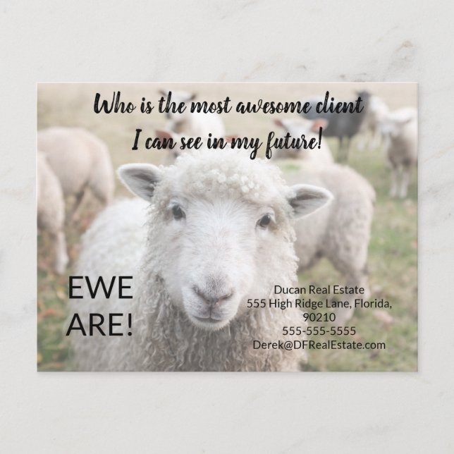 Postale Carte de recommandation immobilière Funny Sheep Ew (Devant)