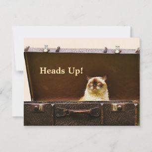 POSTALE CARTE DE RELOCALISATION EN TÊTE HAUT
