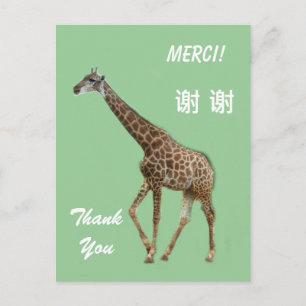 Postale Carte de remerciement anglais/français/chinois