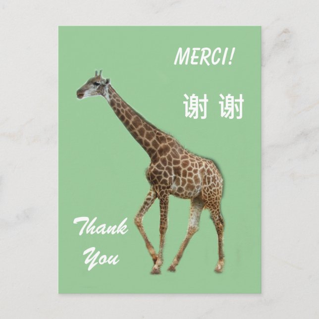 Postale Carte de remerciement anglais/français/chinois (Devant)