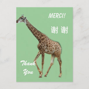 Postale Carte de remerciement anglais/français/chinois