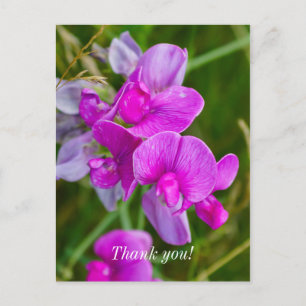 Postale Carte de remerciement aux Orchidées Violettes