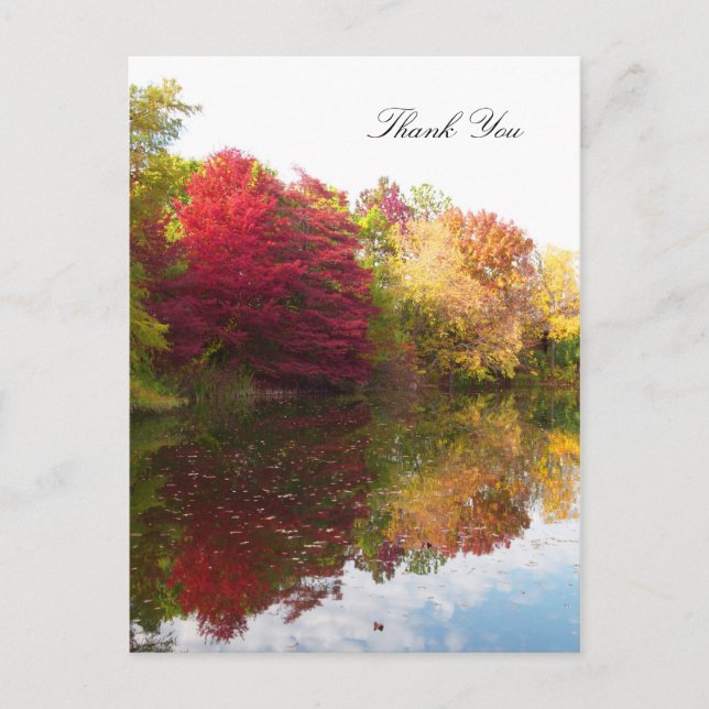 Postale Carte de remerciement de sympathie Automne Beauté (Devant)
