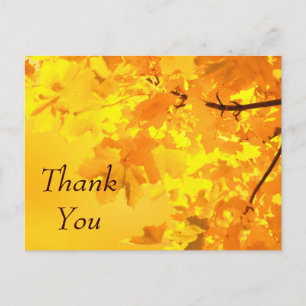 Postale Carte de remerciement Érable Jaune