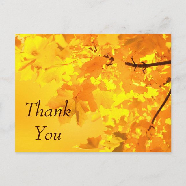 Postale Carte de remerciement Érable Jaune (Devant)