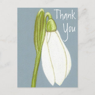 Postale Carte de remerciement Fleur de perce-neige