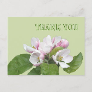 Postale Carte de remerciement, fleurs de pommier