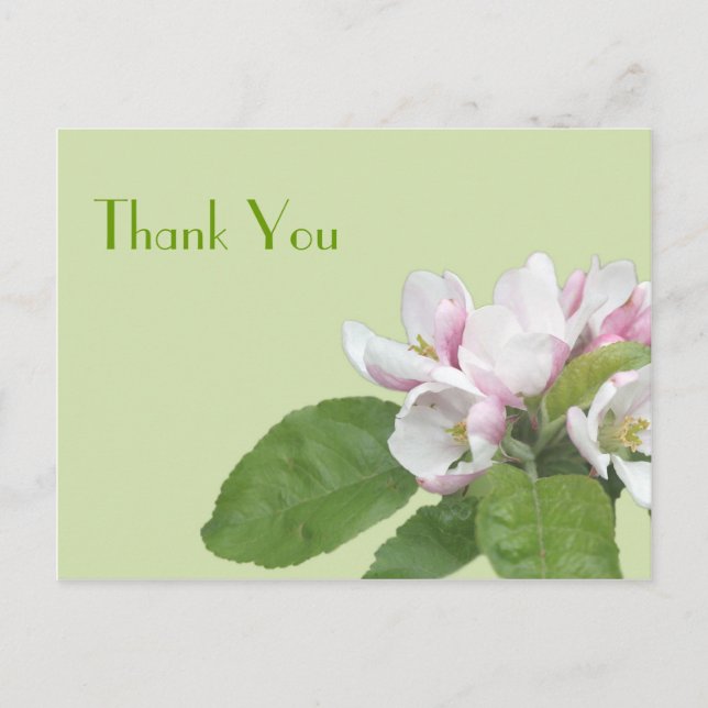 Postale Carte de remerciement, fleurs de pommier (Devant)