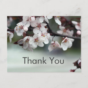 Postale carte de remerciement fleurs de prunier