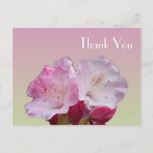 Postale Carte de remerciement, fleurs de rhododendron rose