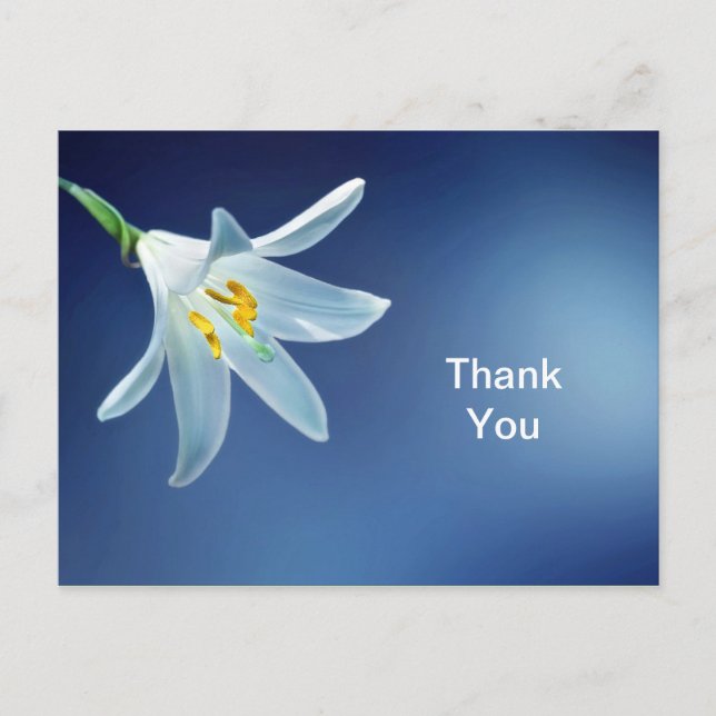 Postale Carte de remerciement Lys de Pâques (Devant)