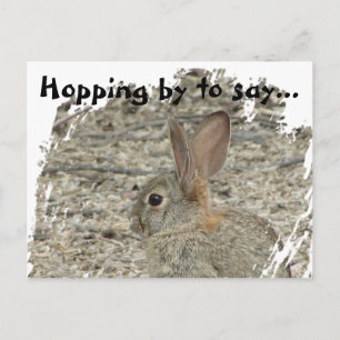 Postale Carte de Remerciement Photo Lapin Polyvalente