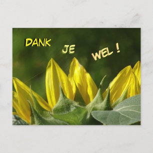 Postale Carte de remerciement Tournesol