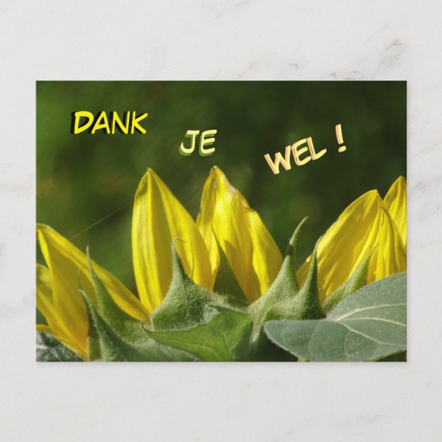 Postale Carte de remerciement Tournesol (Devant)