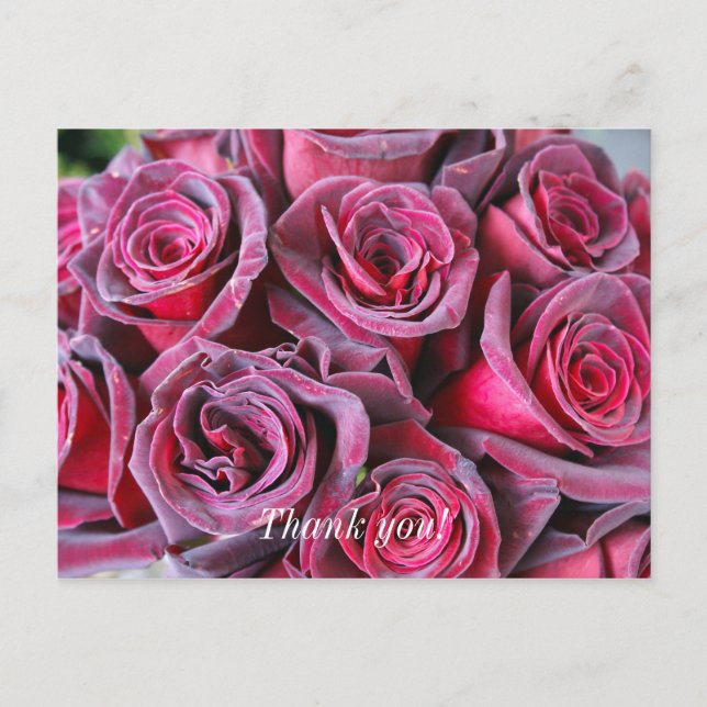 Postale Carte de remerciement Velvet Beauty (Devant)