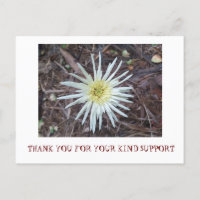 CARTE DE REMERCIEMENTS