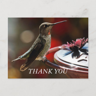Postale Carte de remerciements colibri