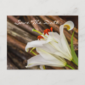 Postale Carte de sauvegarde de la date