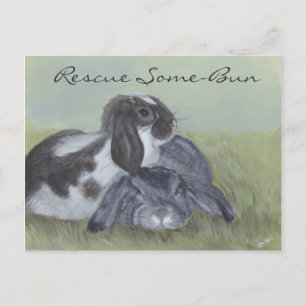 Postale Carte de Secourt de lapin