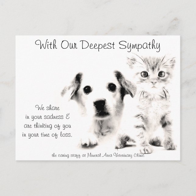 Postale Carte de sympathie vétérinaire chiot et chaton (Devant)