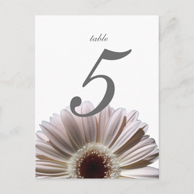 Postale Carte de table Gerbera Daisy/Mariage (Devant)